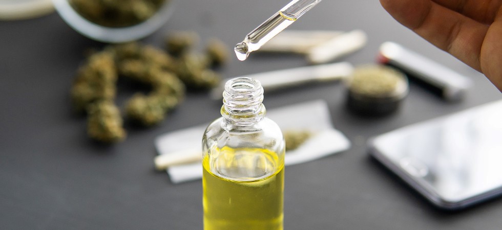 CBD Oil for Dogs Step-by-Step Guide