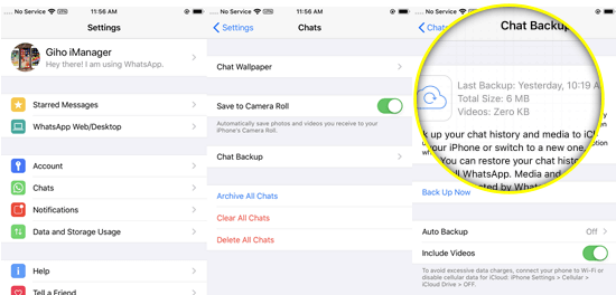 Restore Your WhatsApp Chats from iCloud